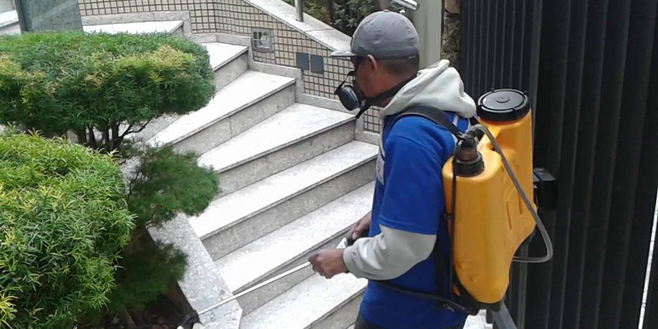 Sindico Profissional - Dedetização em condomínio